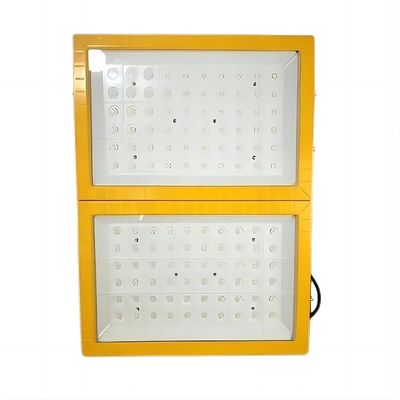 qualidade  Aluminum 300W LED professional ex lamp die-casting proof + tempered glass NEYSA ATEx CLEx ccc anti Ignition Explosion Proof Flood Light 5 Years Warranty fábrica